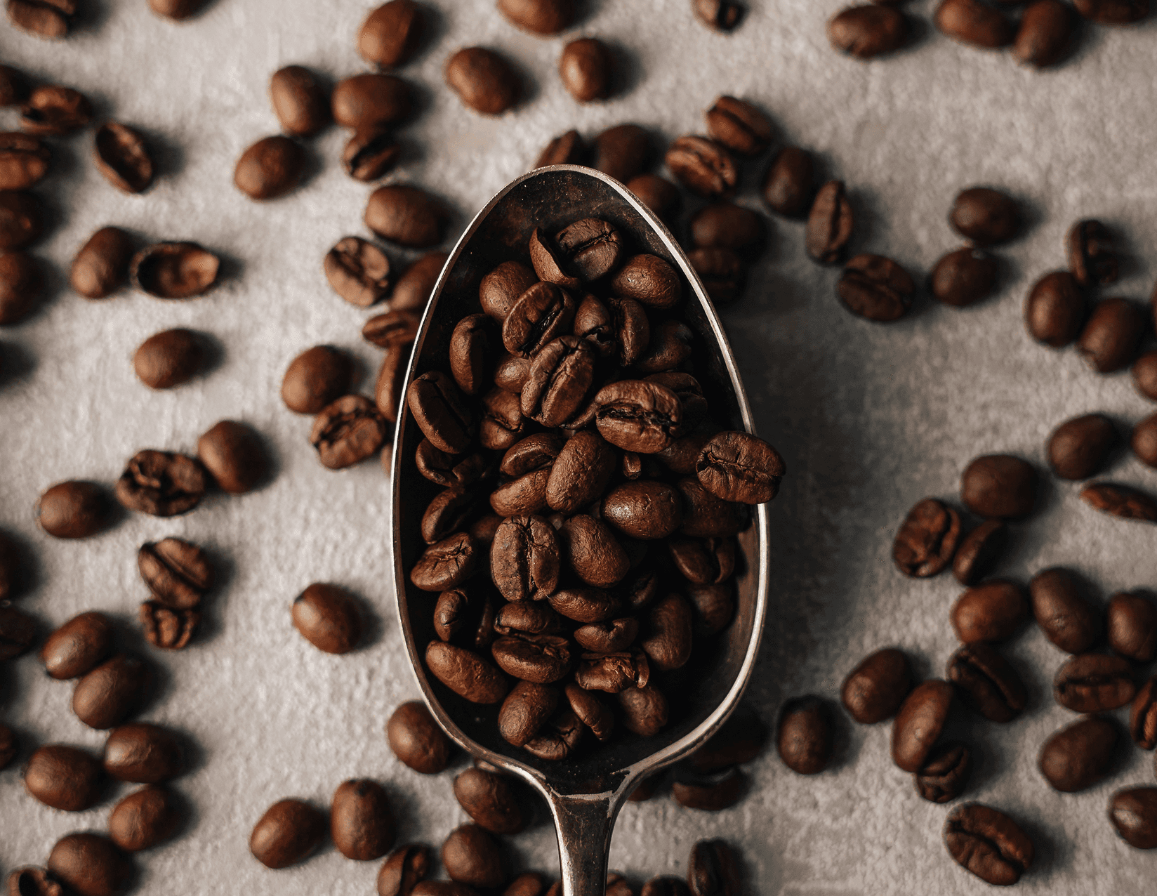 Roasted coffee beans in spoon