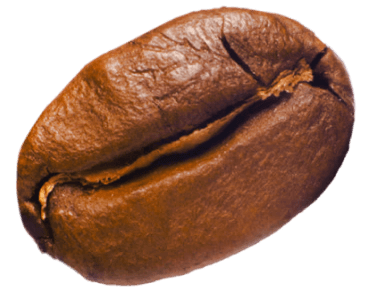 Single roasted coffee bean